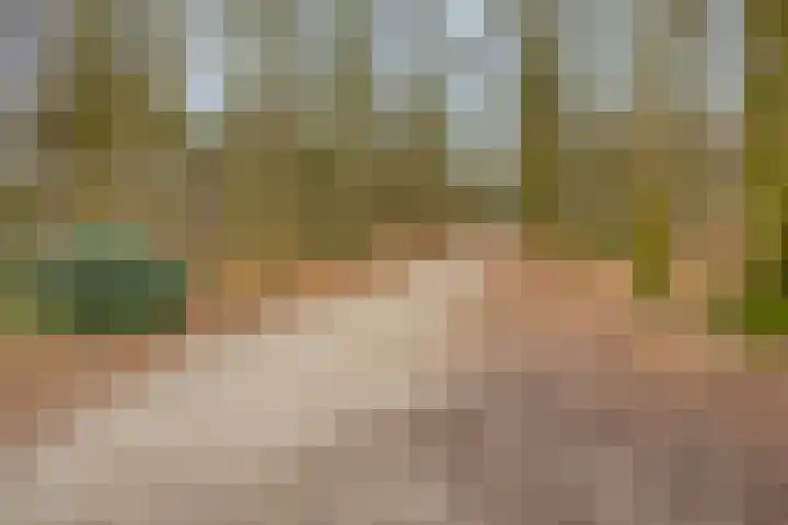 Kijkduinlaan 7 Tilburg thumbnail 47