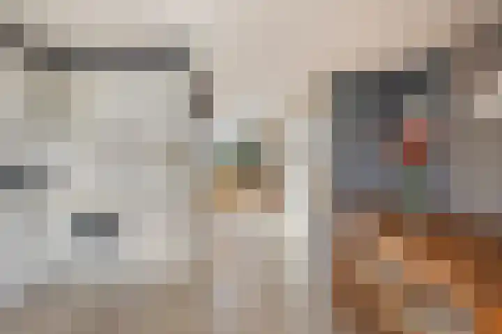Kijkduinlaan 71 Tilburg thumbnail 15