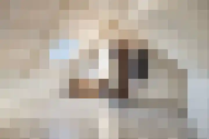Kijkduinlaan 71 Tilburg thumbnail 29
