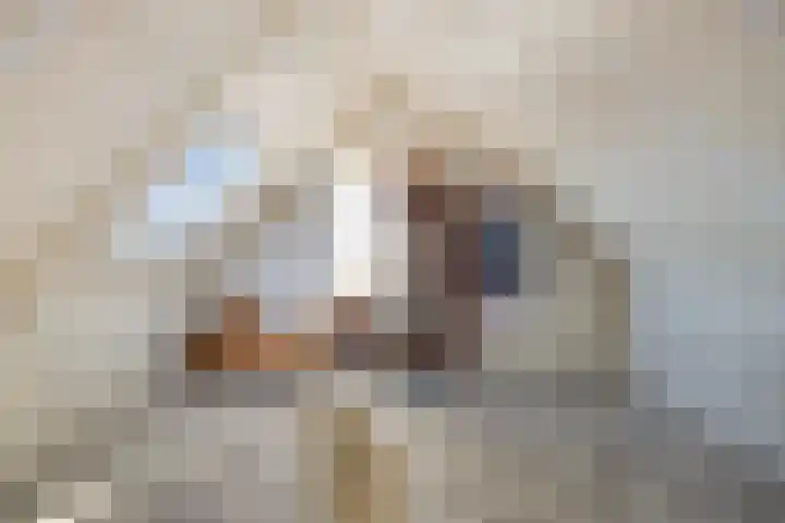 Kijkduinlaan 71 Tilburg thumbnail 31