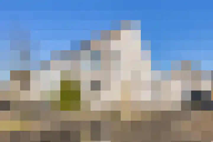 Kijkduinlaan 71 Tilburg thumbnail 6