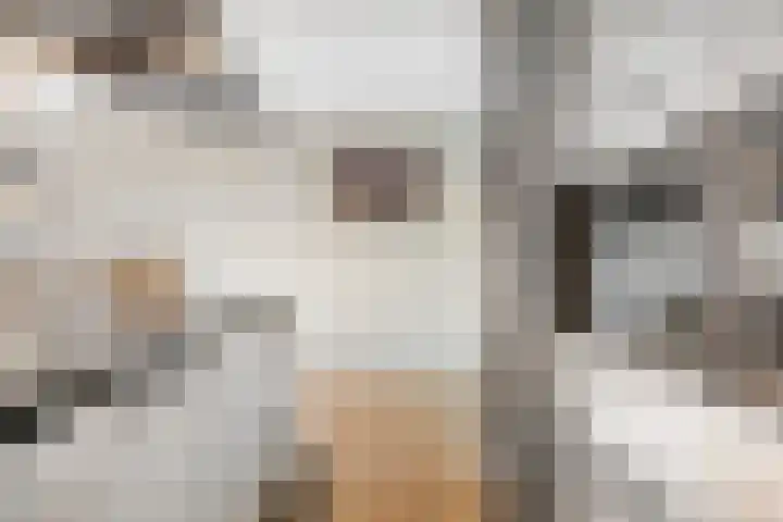 Kijkduinlaan 94 Tilburg thumbnail 13