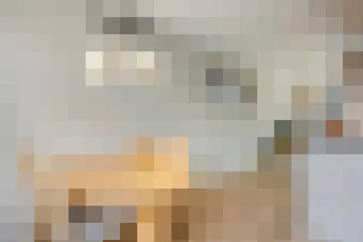 Kijkduinlaan 94 Tilburg thumbnail 16