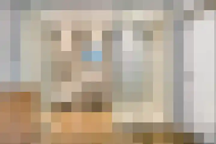 Kijkduinlaan 94 Tilburg thumbnail 20