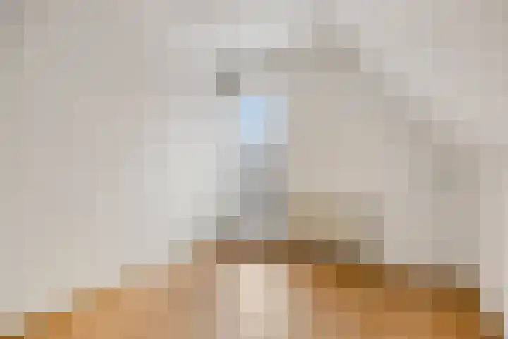 Kijkduinlaan 94 Tilburg thumbnail 31