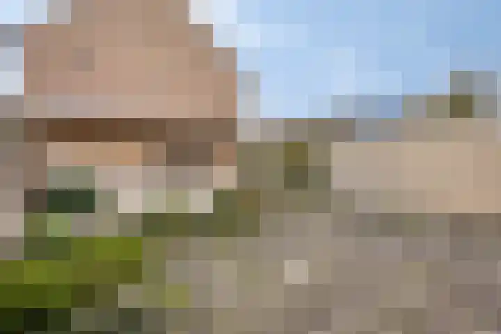Kijkduinlaan 94 Tilburg thumbnail 35