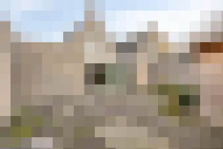 Kijkduinlaan 94 Tilburg thumbnail 36
