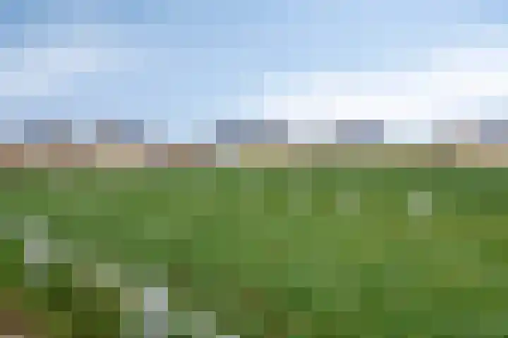 Kijkduinlaan 94 Tilburg thumbnail 43