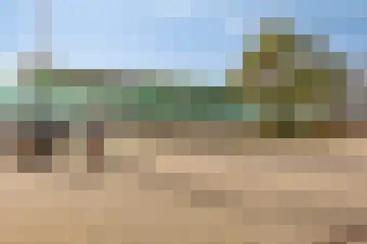 Kijkduinlaan 94 Tilburg thumbnail 45