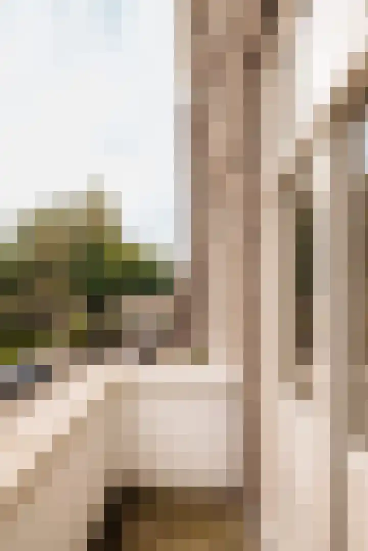 Kijkduinstraat 101 2 Amsterdam thumbnail 5