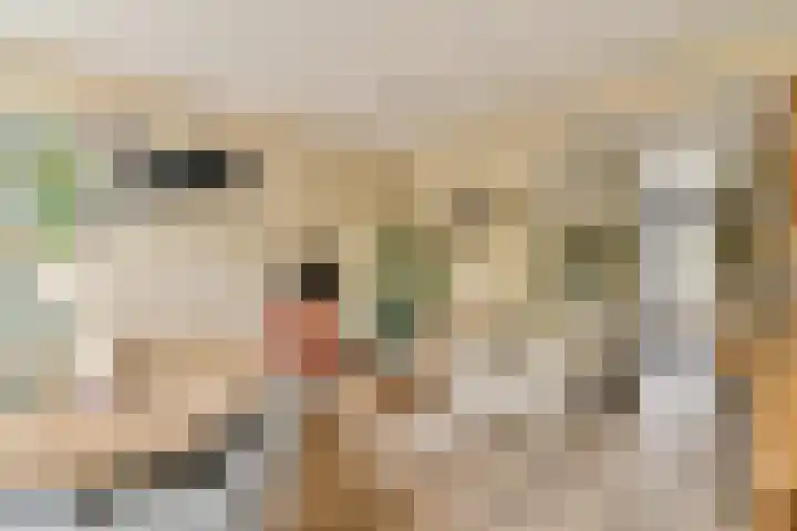 Kijkduinstraat 105 H Amsterdam thumbnail 7