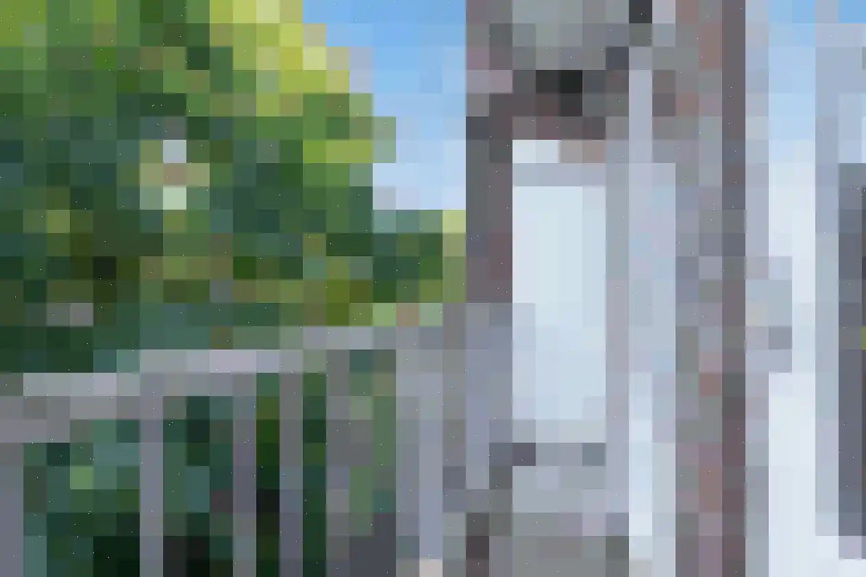 Kijkduinstraat 109 2 Amsterdam thumbnail 6