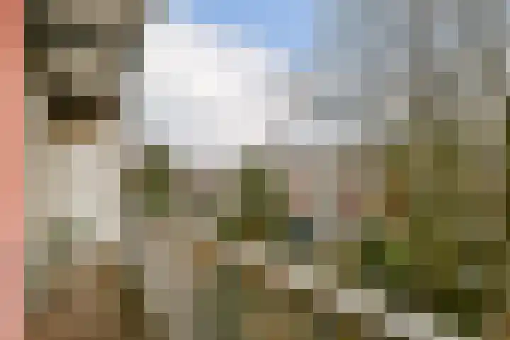 Kijkduinstraat 123 H Amsterdam thumbnail 13