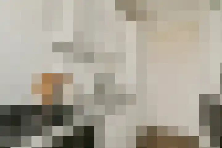 Kijkduinstraat 123 H Amsterdam thumbnail 8