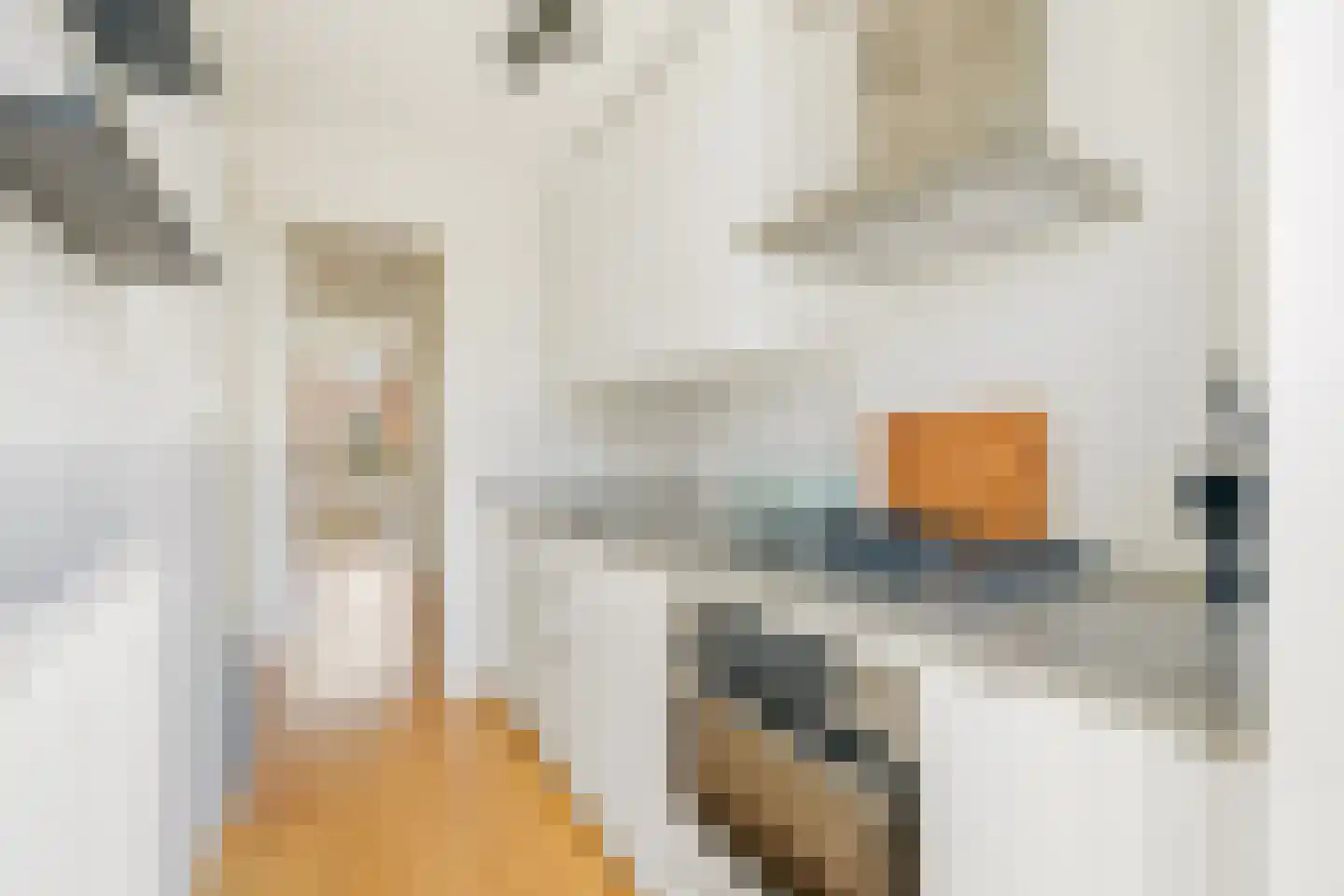 Kijkduinstraat 133 2 Amsterdam thumbnail 13