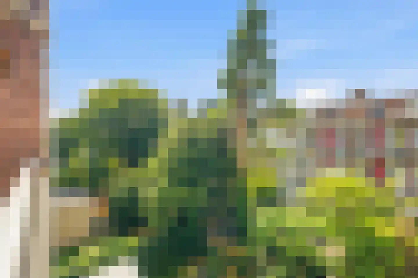 Kijkduinstraat 133 2 Amsterdam thumbnail 19