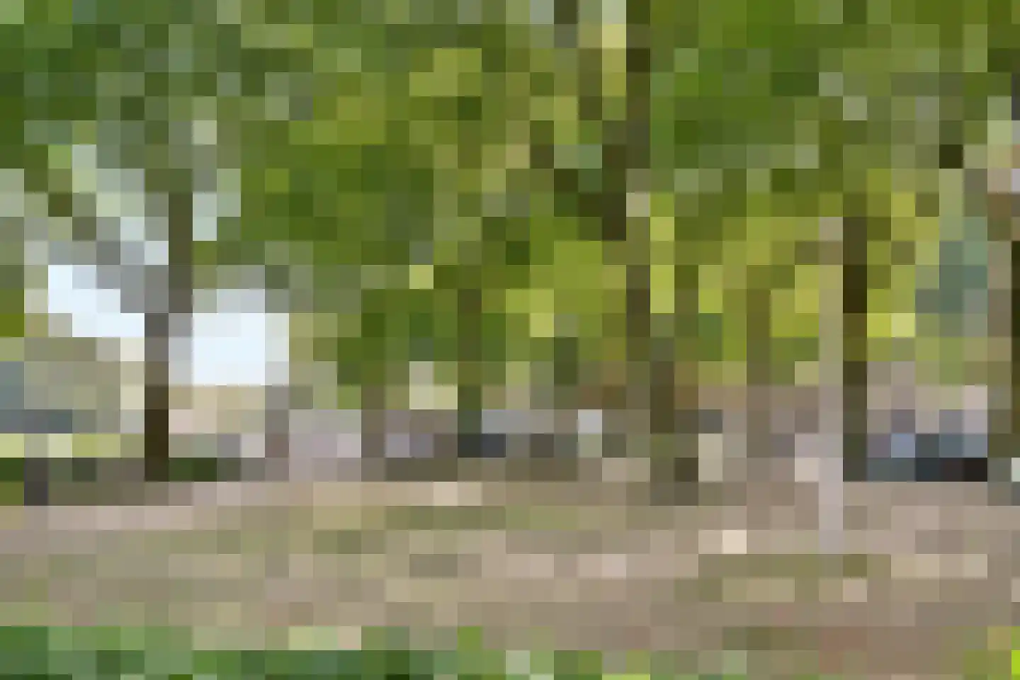 Kijkduinstraat 135 1 Amsterdam thumbnail 18