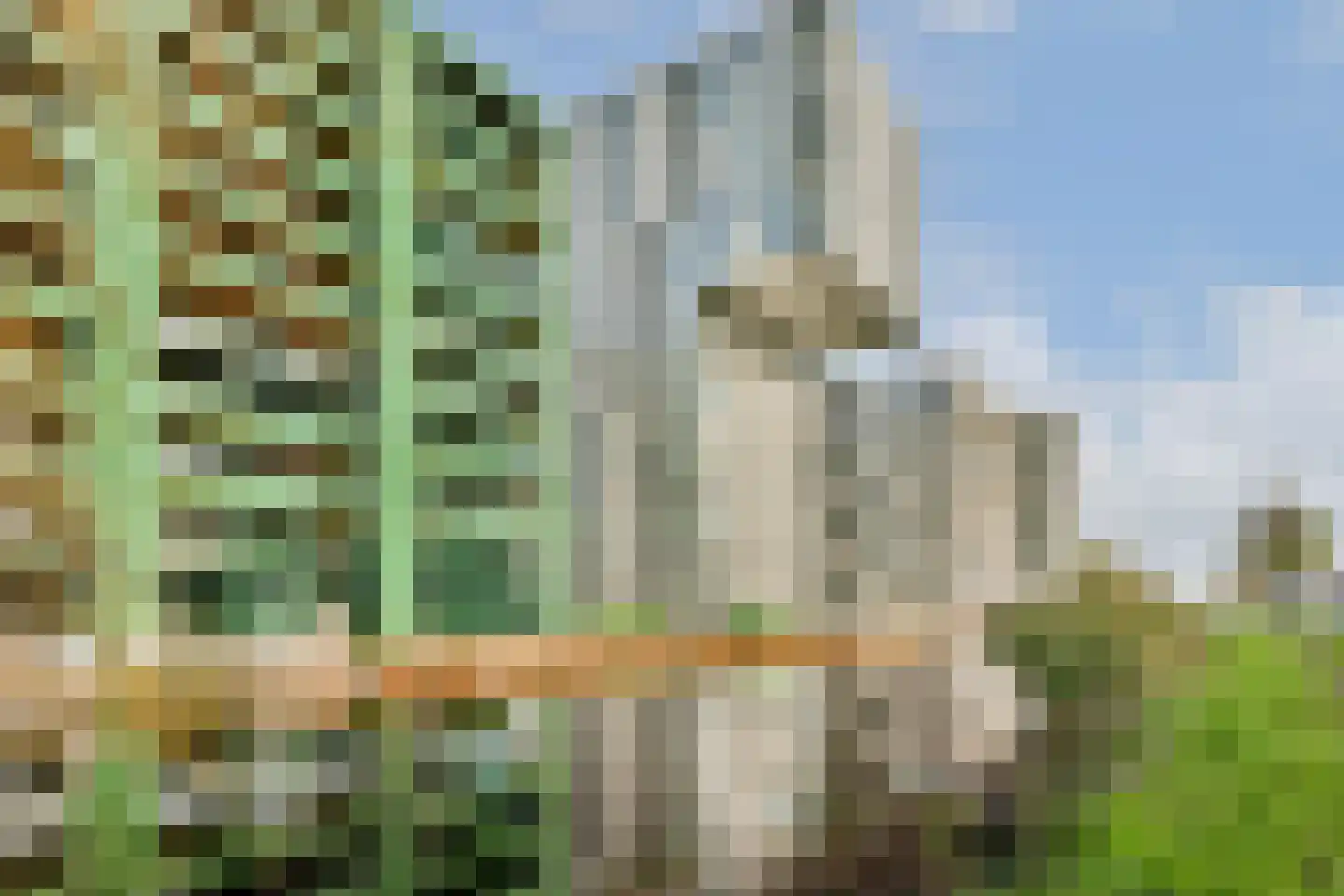 Kijkduinstraat 135 1 Amsterdam thumbnail 19