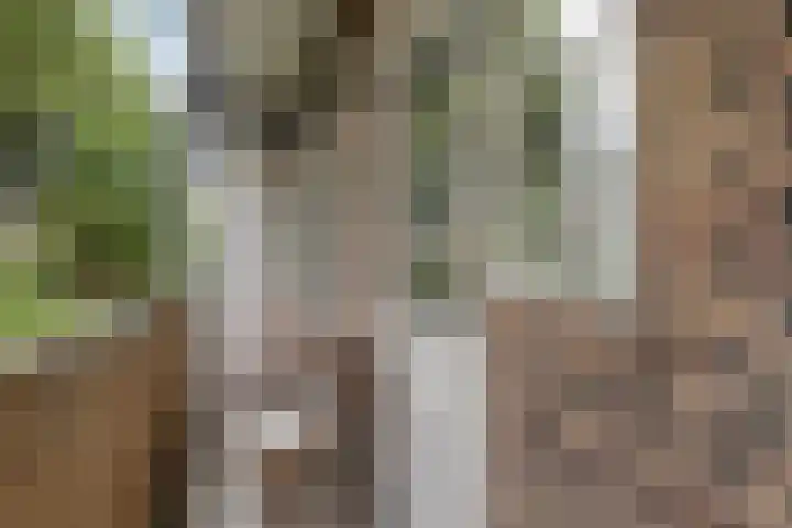 Kijkduinstraat 25 H Amsterdam thumbnail 19