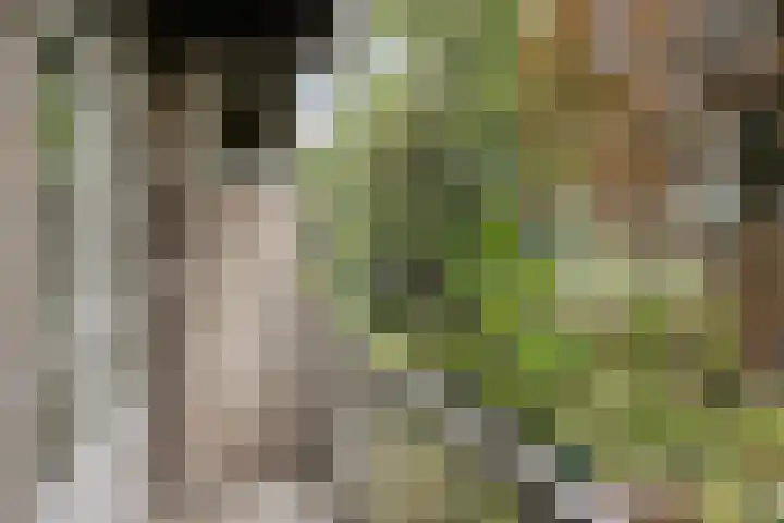 Kijkduinstraat 25 H Amsterdam thumbnail 20