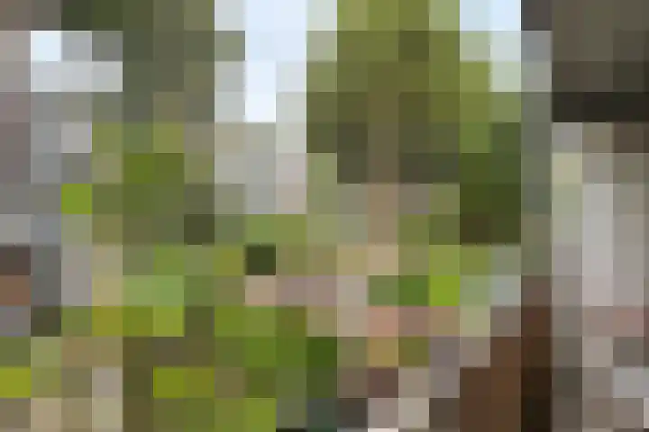 Kijkduinstraat 25 H Amsterdam thumbnail 21