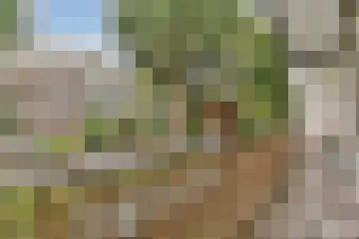 Kijkduinstraat 27 H Amsterdam thumbnail 10