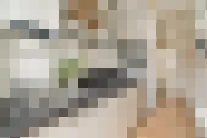 Kijkduinstraat 27 H Amsterdam thumbnail 12