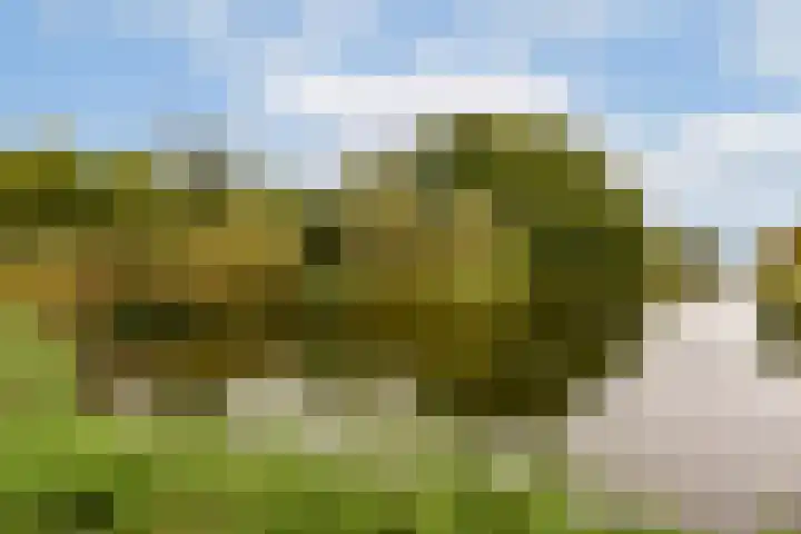 Kijkduinstraat 27 H Amsterdam thumbnail 23