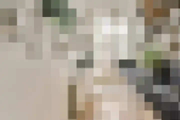 Kijkduinstraat 27 H Amsterdam thumbnail 9