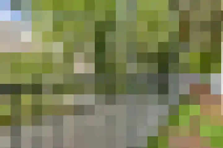 Kijkduinstraat 47 2 Amsterdam thumbnail 11