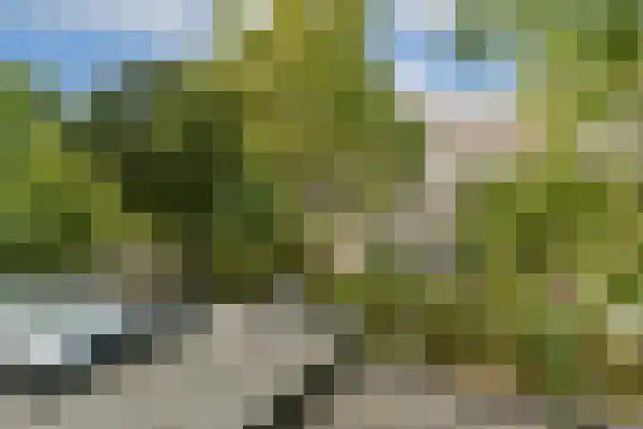 Kijkduinstraat 47 2 Amsterdam thumbnail 19
