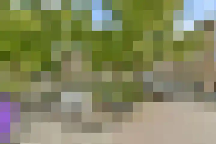 Kijkduinstraat 47 2 Amsterdam thumbnail 20