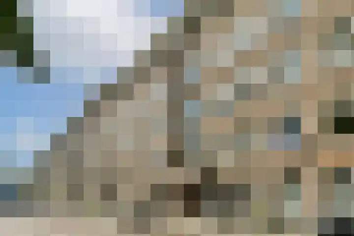 Kijkduinstraat 47 2 Amsterdam thumbnail 21