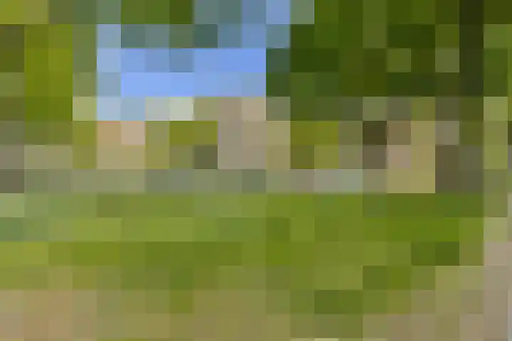 Kijkduinstraat 47 2 Amsterdam thumbnail 22