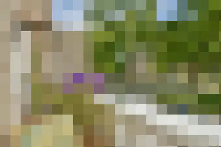 Kijkduinstraat 47 2 Amsterdam thumbnail 8