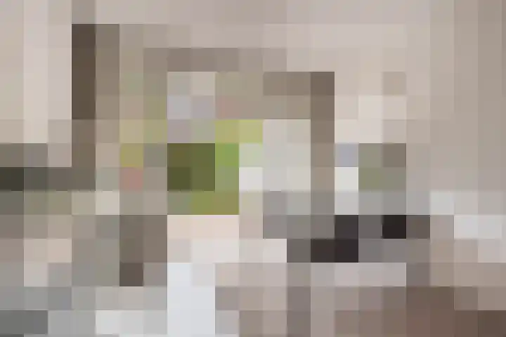 Kijkduinstraat 47 Haarlem thumbnail 10