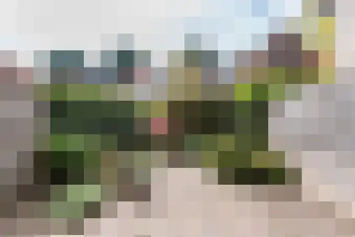 Kijkduinstraat 47 Haarlem thumbnail 11