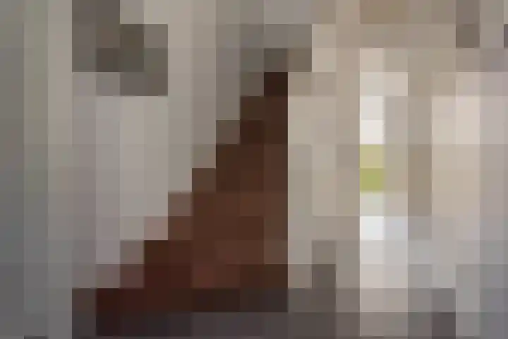 Kijkduinstraat 47 Haarlem thumbnail 13