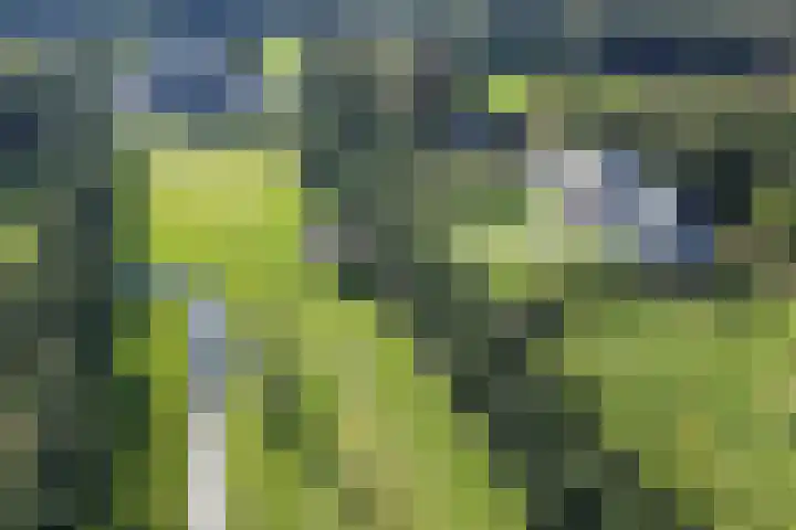 Kijkduinstraat 47 Haarlem thumbnail 29
