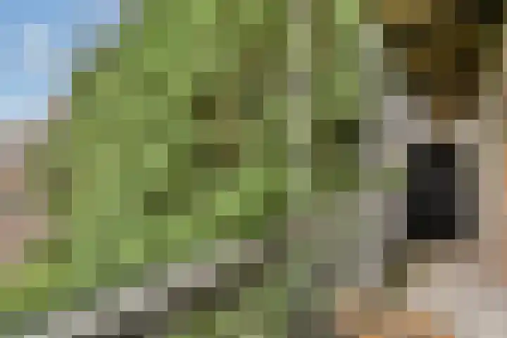 Kijkduinstraat 51 1 Amsterdam thumbnail 16