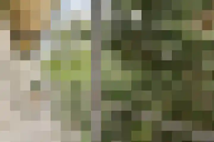 Kijkduinstraat 51 1 Amsterdam thumbnail 18