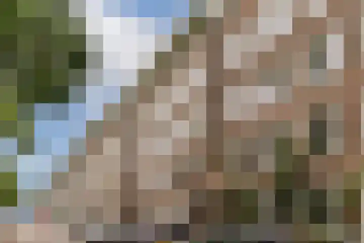 Kijkduinstraat 51 1 Amsterdam thumbnail 21