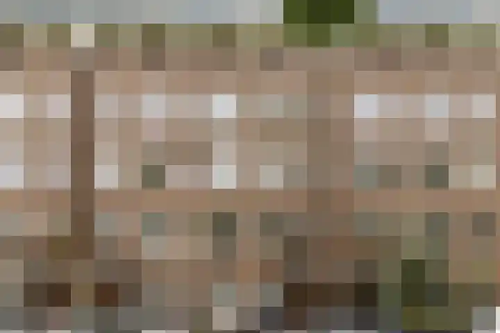 Kijkduinstraat 51 1 Amsterdam thumbnail 22