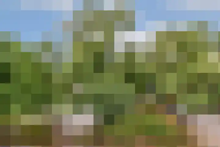 Kijkduinstraat 51 1 Amsterdam thumbnail 4