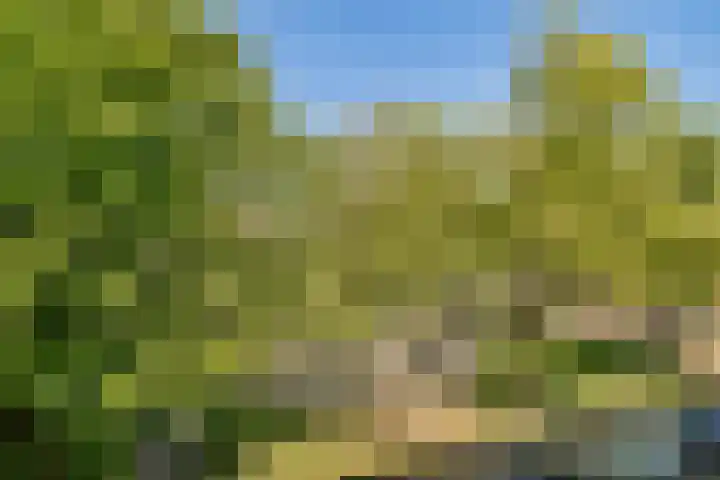 Kijkduinstraat 51 1 Amsterdam thumbnail 5