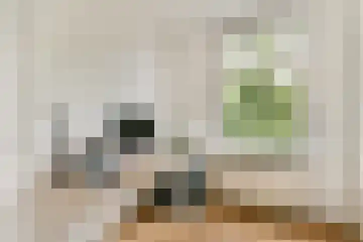 Kijkduinstraat 51 1 Amsterdam thumbnail 9