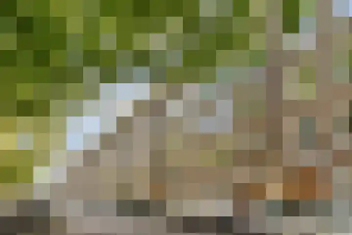 Kijkduinstraat 57 2 Amsterdam thumbnail 27