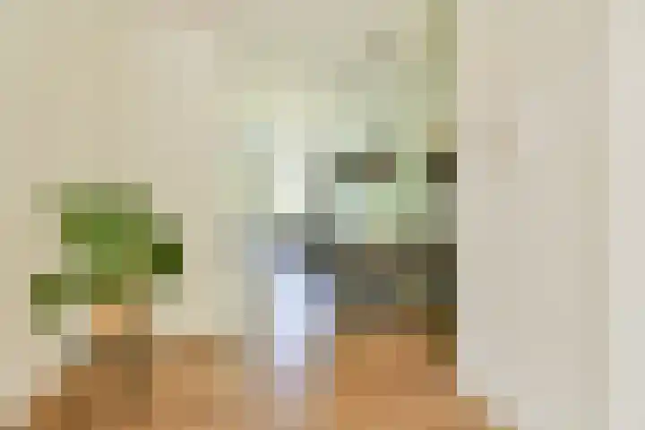 Kijkduinstraat 57 2 Amsterdam thumbnail 8