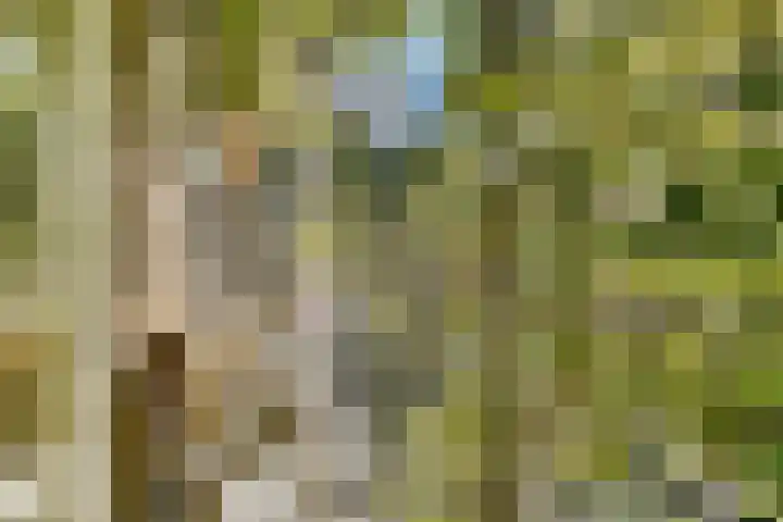 Kijkduinstraat 57 2 Amsterdam thumbnail 9