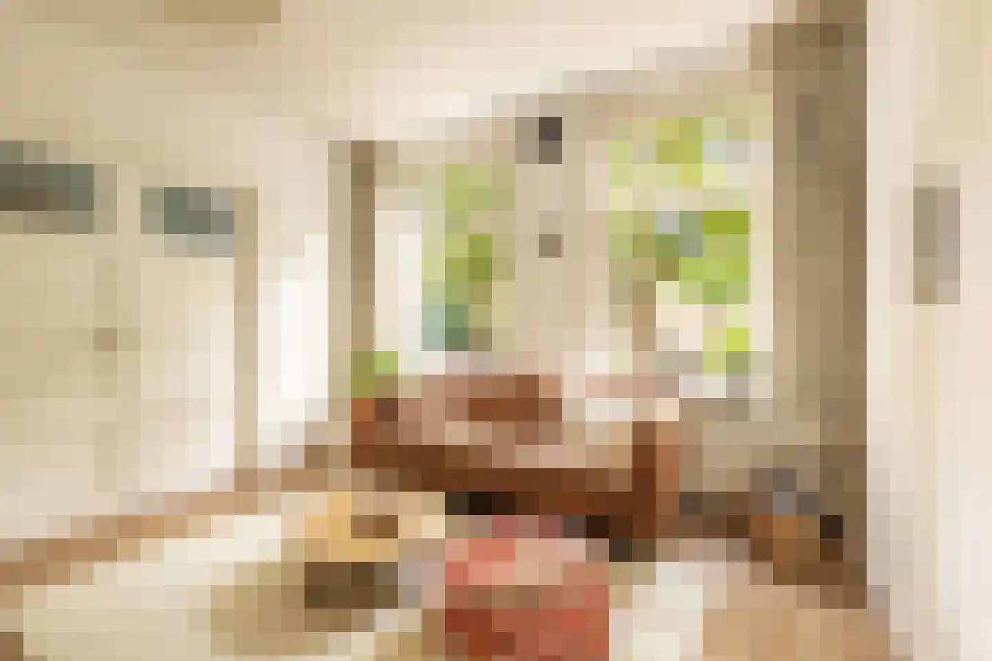 Kijkduinstraat 59 1 Amsterdam thumbnail 4